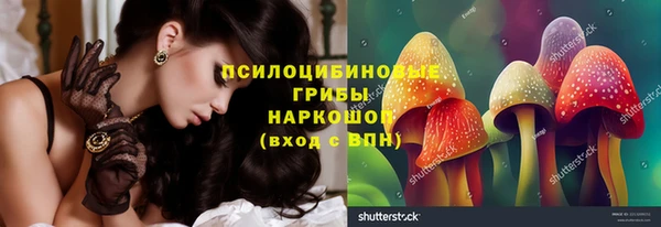 ПСИЛОЦИБИНОВЫЕ ГРИБЫ Белоозёрский