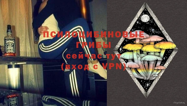 ПСИЛОЦИБИНОВЫЕ ГРИБЫ Белоозёрский