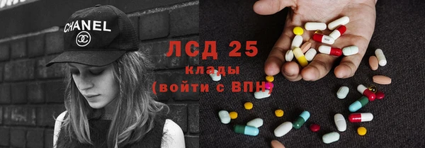 ПСИЛОЦИБИНОВЫЕ ГРИБЫ Белоозёрский