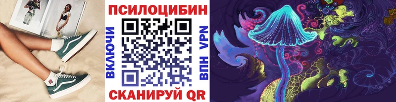 Галлюциногенные грибы Psilocybe Ершов